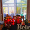 Lebanon, Maine 3-seasons sunroom 3